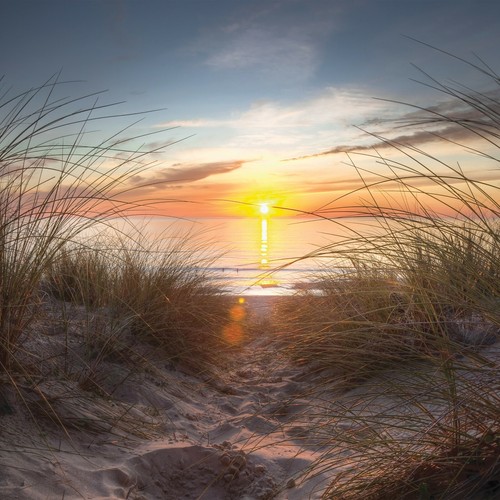 Sonnenuntergang fototapete - sonnenuntergang,