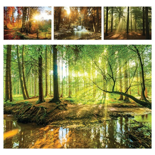 Vlies fototapete wald bach - vlies,