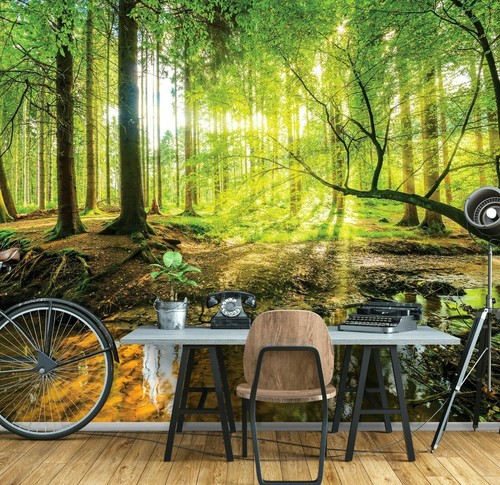 Wald bach sonne - bach,