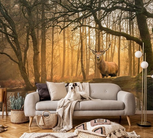 Fototapete wald hirsch tiere - fototapete,