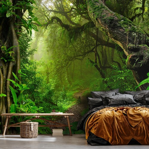 Fototapete wald bäume - wald, 3d