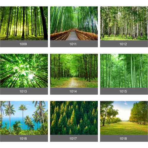 Wald bäume wandbild - wald,