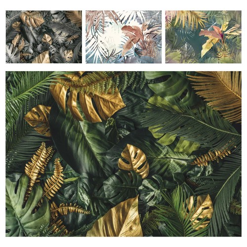 Vlies fototapete monstera - vlies,