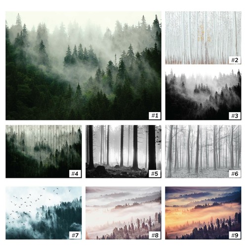 Wald nebel bäume - nebel,