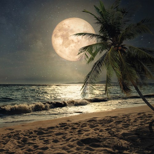 Fototapete nacht strand - fototapete,