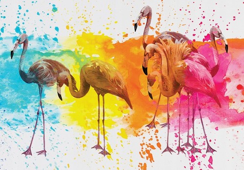 Vlies fototapete flamingo - vlies,