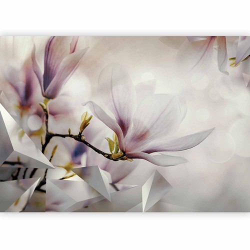 Blumen magnolien glanz - magnolien,