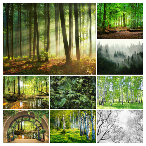Fototapete wald effekt - wald, 3d