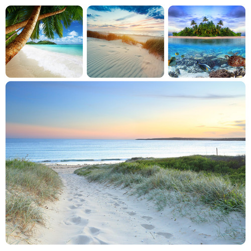 Strand meer natur - meer, palmen