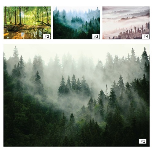 Fototapete wald nebel vlies - 3d,